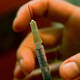 Illustration for article titled The Flu Shot Isn’t a Good Match This Year. Is It Ever?